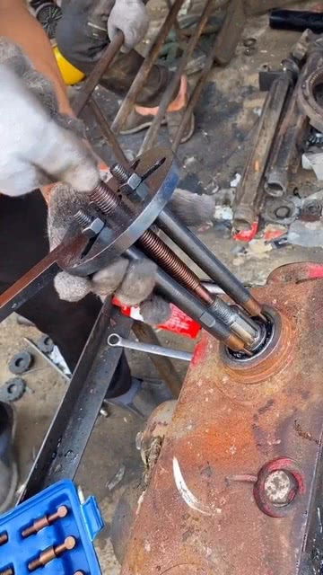 五金工具與寵物用品 跨行業(yè)的家居需求融合