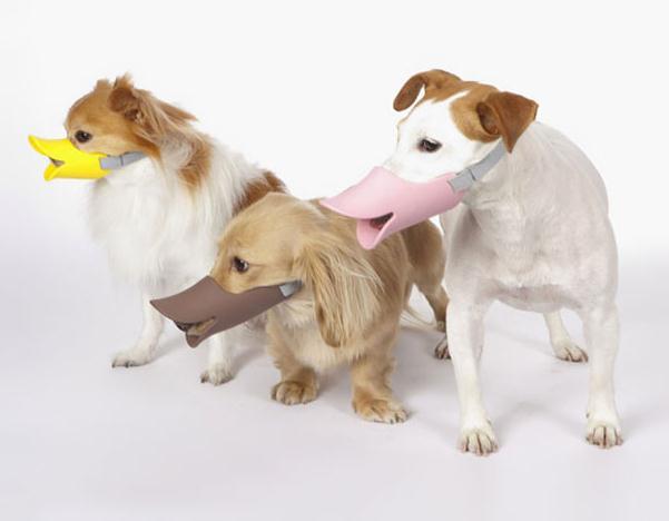 別只知道貓窩狗繩，這些腦洞大開的寵物用品才叫絕！