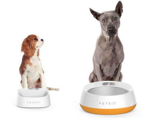 小佩獲億元B輪融資 從智能用品邁向智慧門店，打造寵物生活新生態