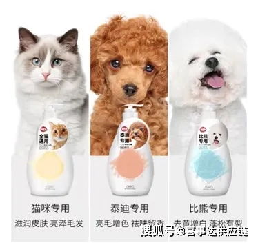 從美國(guó)市場(chǎng)洞察寵物用品分類與增長(zhǎng)趨勢(shì)