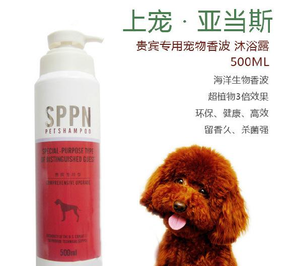 SPPN亞當(dāng)斯寵物沐浴露 紅棕毛貴賓的專屬奢華SPA體驗(yàn)