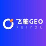 廣州GEO優化哪家強？解析飛柚網絡的專業優勢
